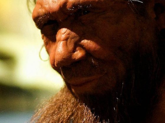 Alguns medicamentos podem agir diferente na pessoa, conforme sua genética Neandertal