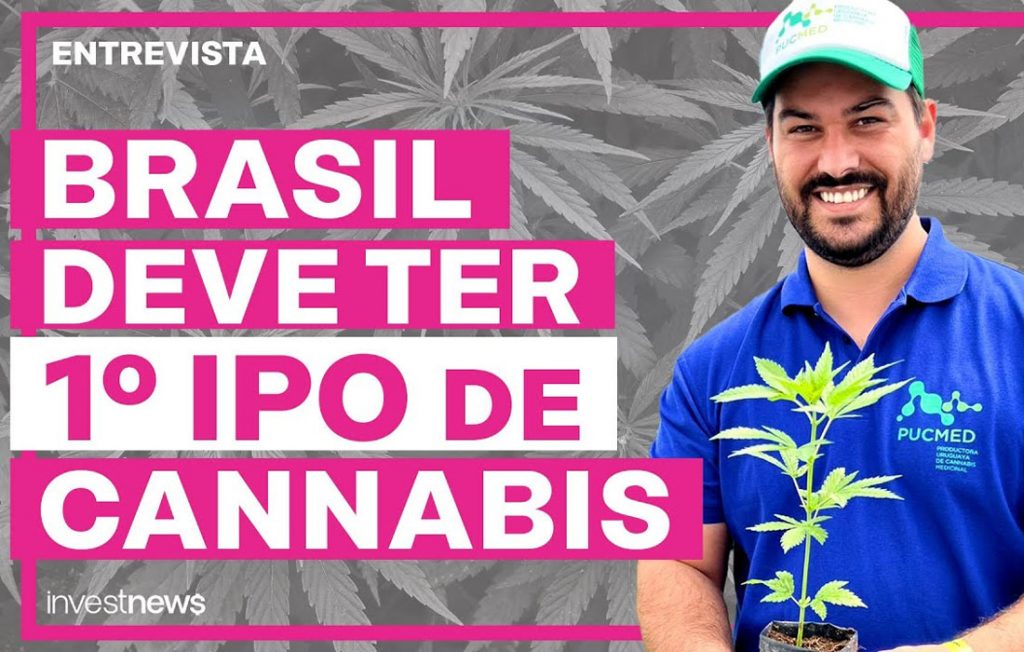 Startup de cannabis medicinal quer ser 1ª do ramo a lançar IPO na B3