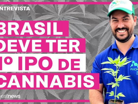 Startup de cannabis medicinal quer ser 1ª do ramo a lançar IPO na B3