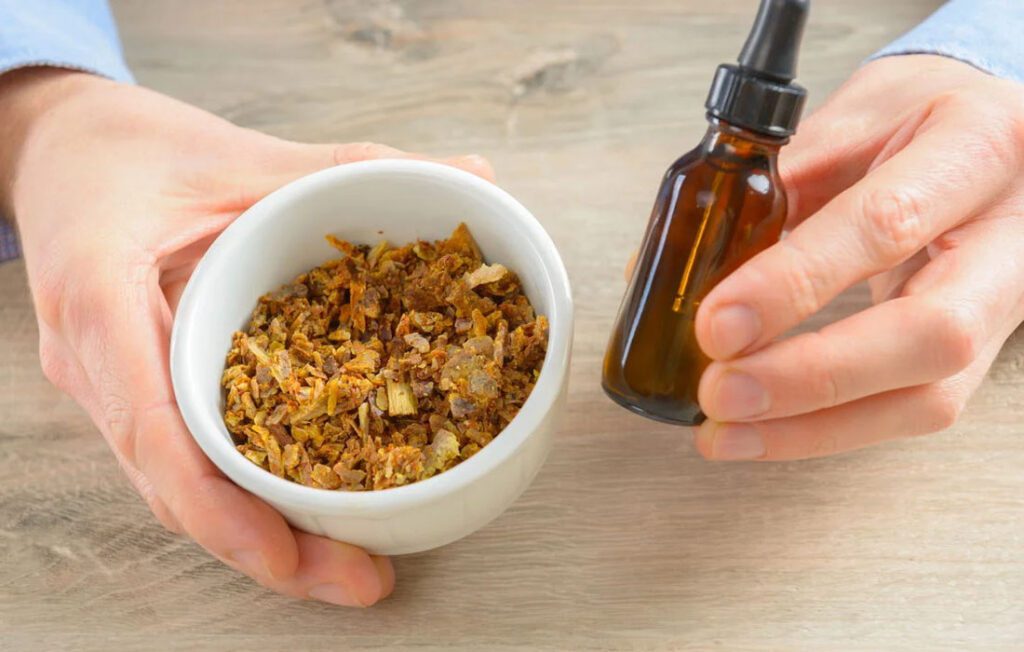 Própolis tem um potencial que surpreende especialistas