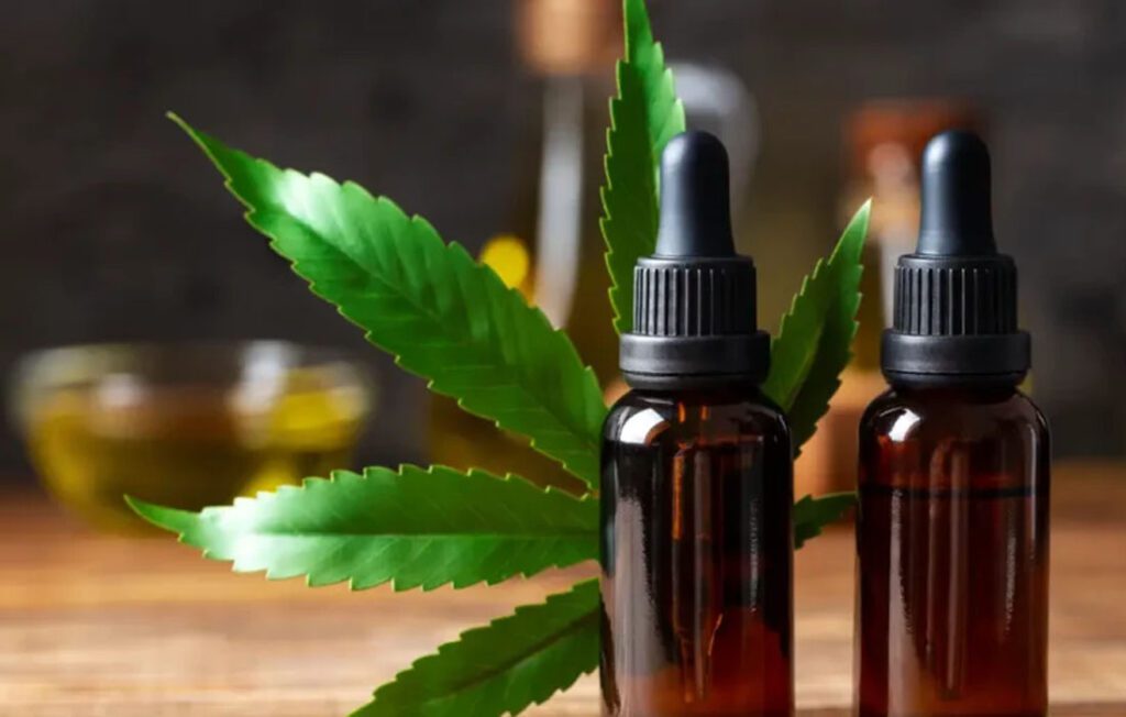 Setor propõe marco regulatório para pesquisas sobre cannabis